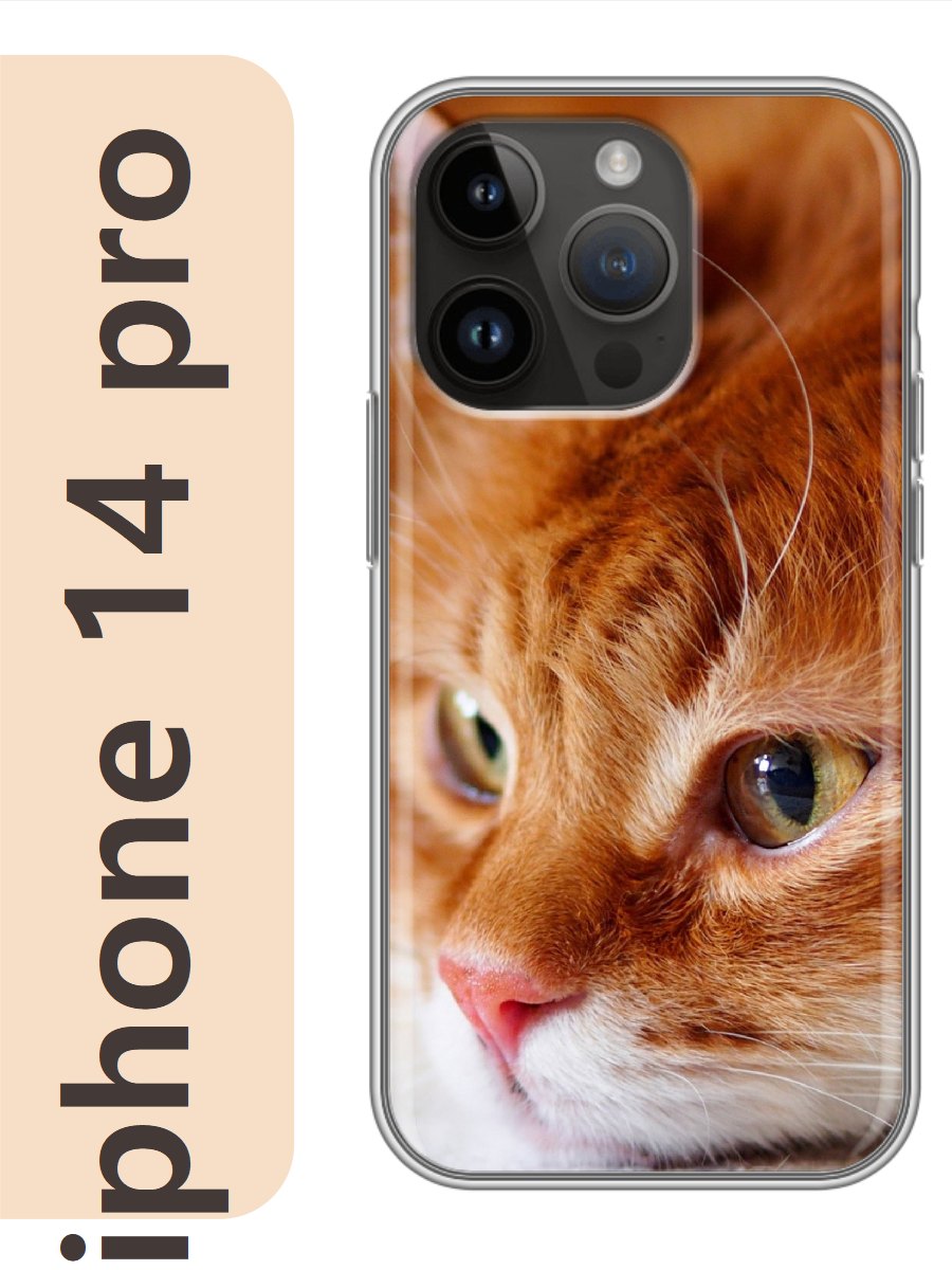 

Чехол на Apple Iphone 14 pro рыжий кот 783, Iphp14cat2