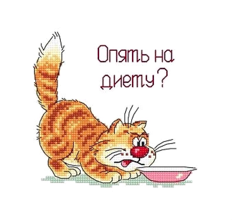 

Набор для вышивания «Опять на диету»