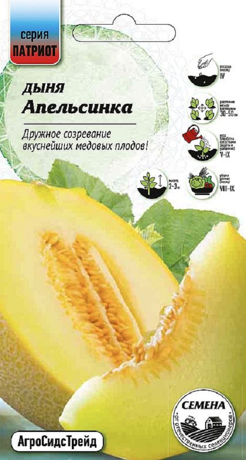 

Семена дыня Апельсинка АгроСидсТрейд 37876 1 уп.