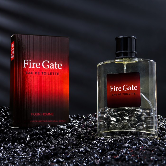 

Туалетная вода мужская FAIR GATE, 100 мл, Fair Gate Man 100 мл