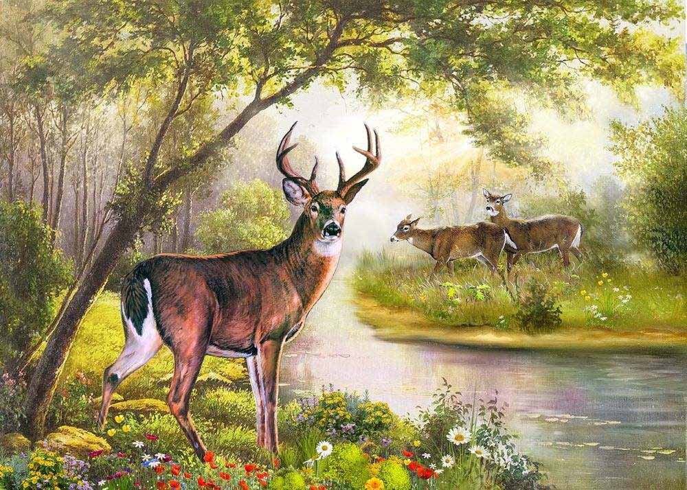 

Алмазная вышивка Алмазное Хобби «Лесная сказка»