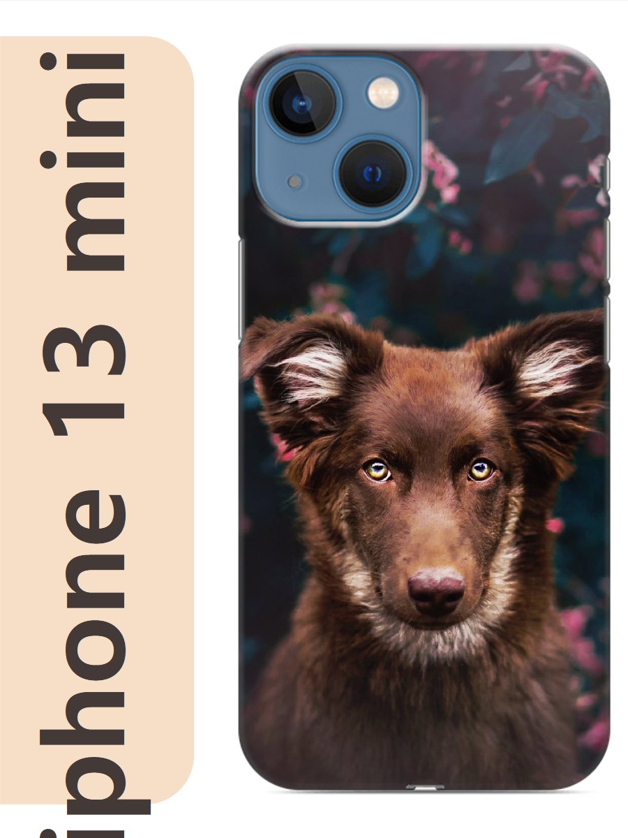 

Чехол на Apple Iphone 13 mini пес шоколадный 835, Прозрачный, Iphm13dogs