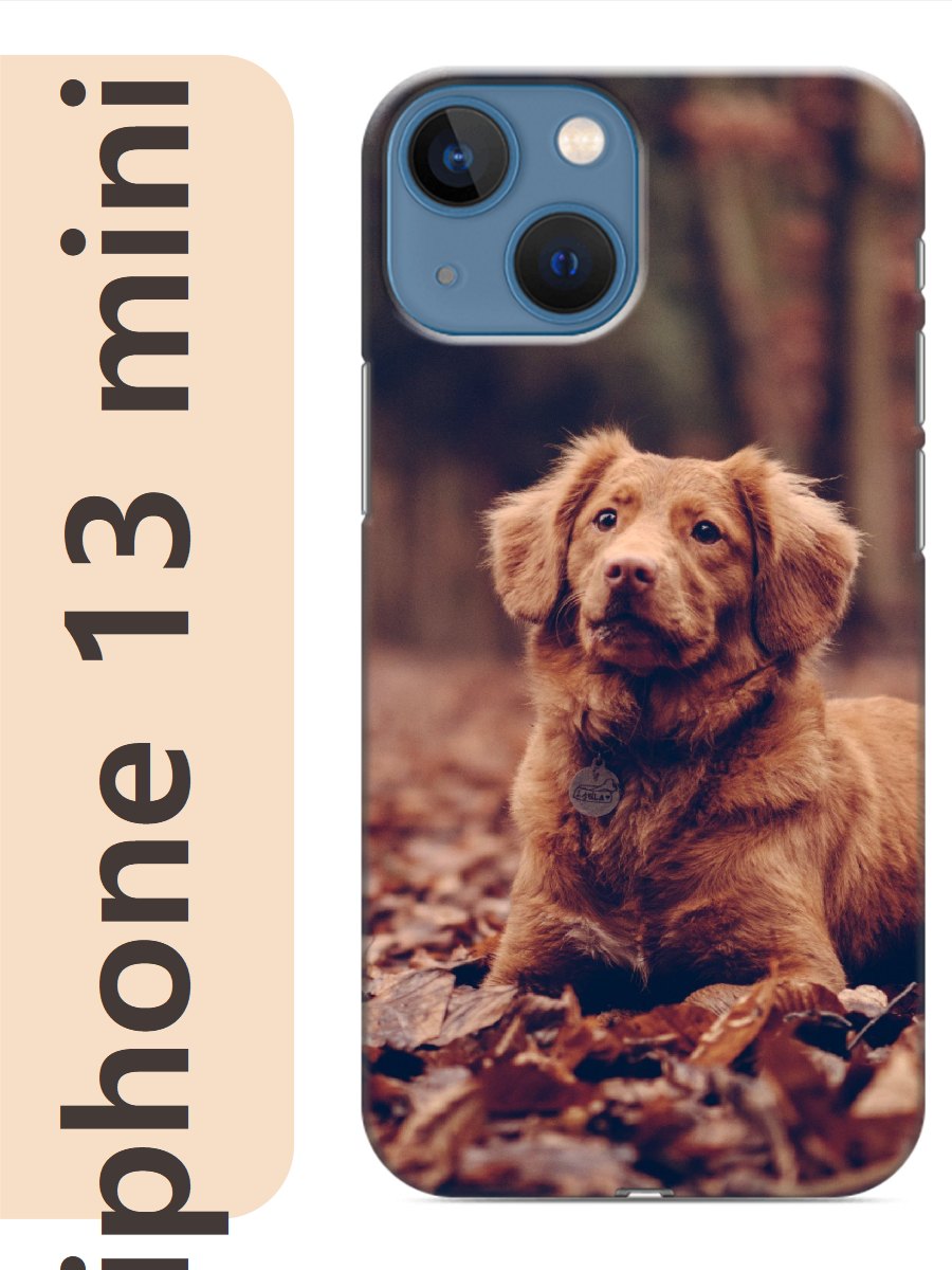 

Чехол на Apple Iphone 13 mini пес в листьях 833, Прозрачный, Iphm13dogs