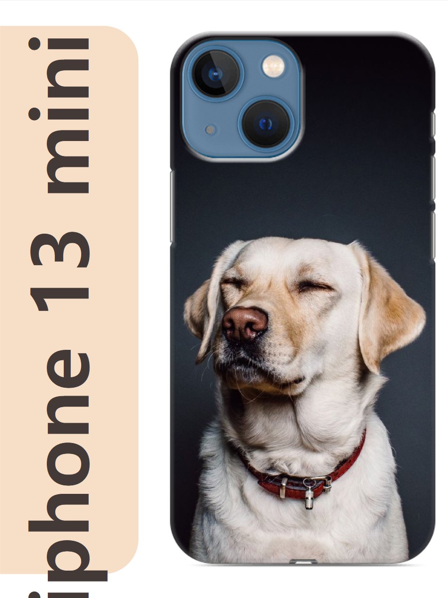 

Чехол на Apple Iphone 13 mini лабрадор 823, Iphm13dogs