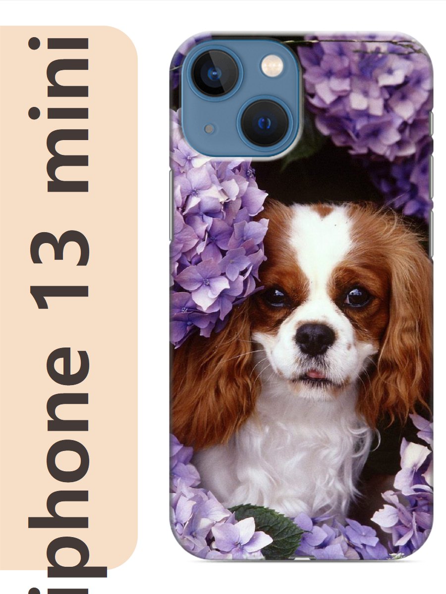 

Чехол на Apple Iphone 13 mini спаниель в цветах 817, Iphm13dogs