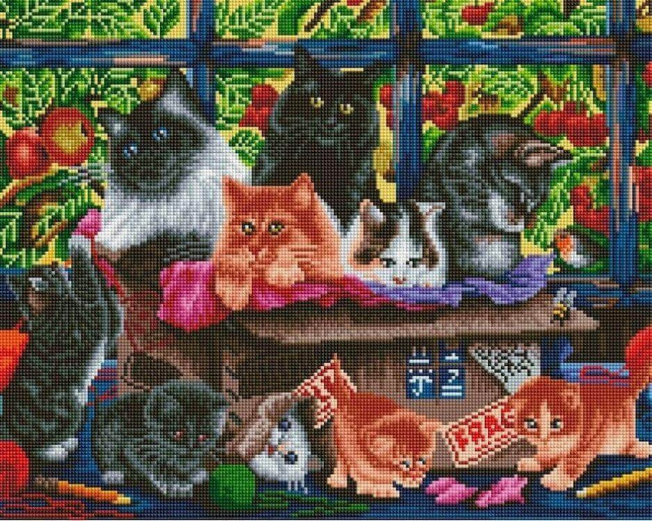 

Алмазная вышивка Белоснежка «Специальная посылка»