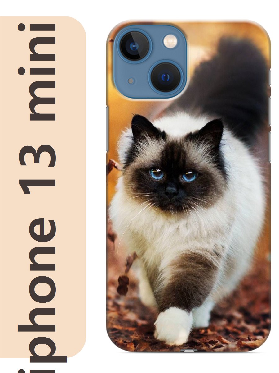 

Чехол на Apple Iphone 13 mini кошка рэгдолл 787, Iphm13cat2