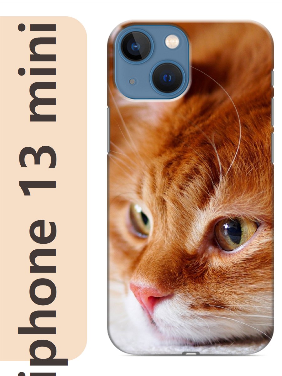 

Чехол на Apple Iphone 13 mini рыжий кот 783, Прозрачный, Iphm13cat2