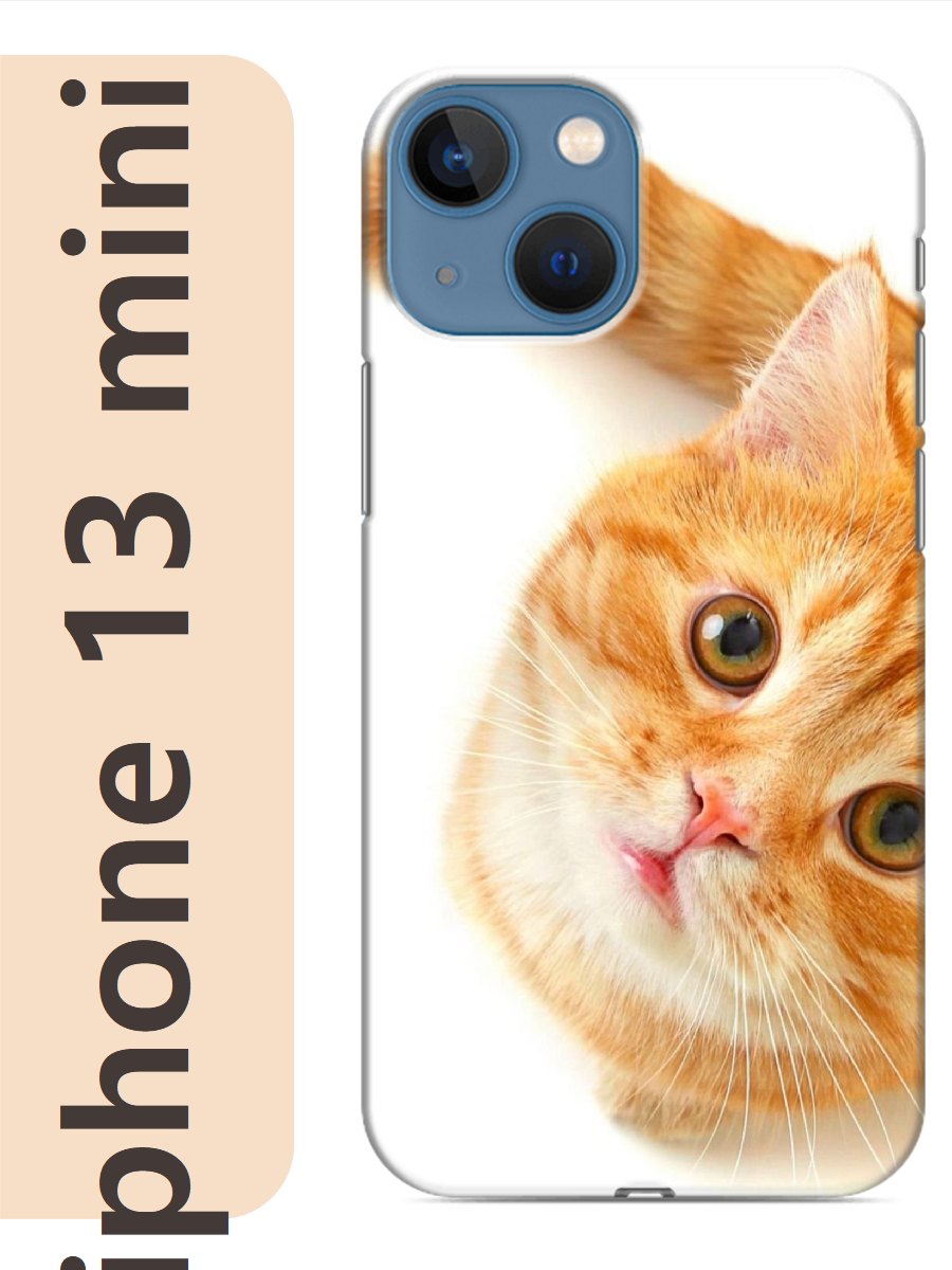 

Чехол на Apple Iphone 13 mini рыжий кот 781, Прозрачный, Iphm13cat2