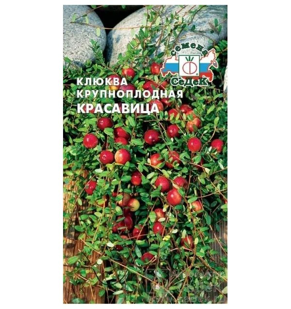 

Семена клюква Красавица крупноплодная СеДеК 1 уп.