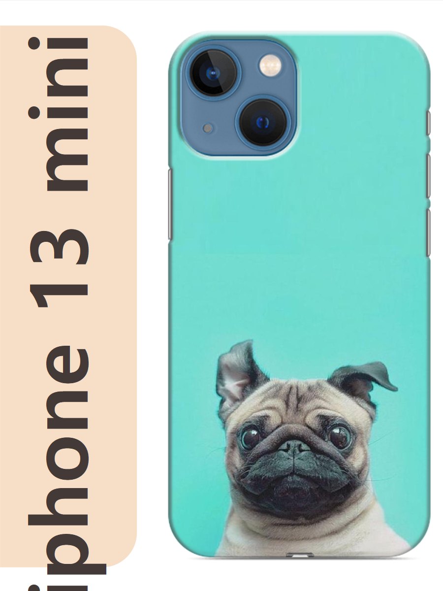 

Чехол на Apple Iphone 13 mini мопс 301, Iphm13zhiv