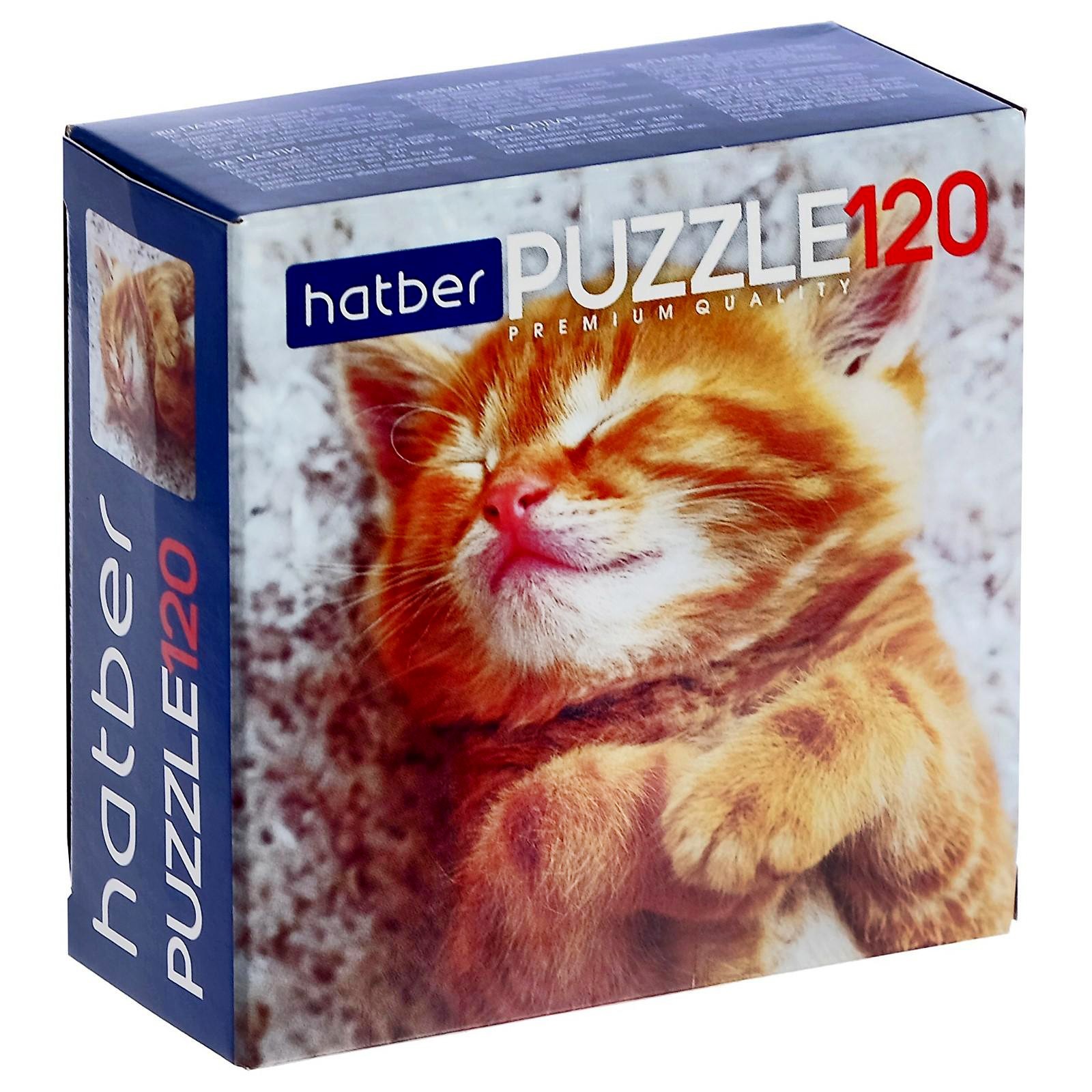 

Пазл Hatber Котиков много не бывает, 120 элементов 4231195