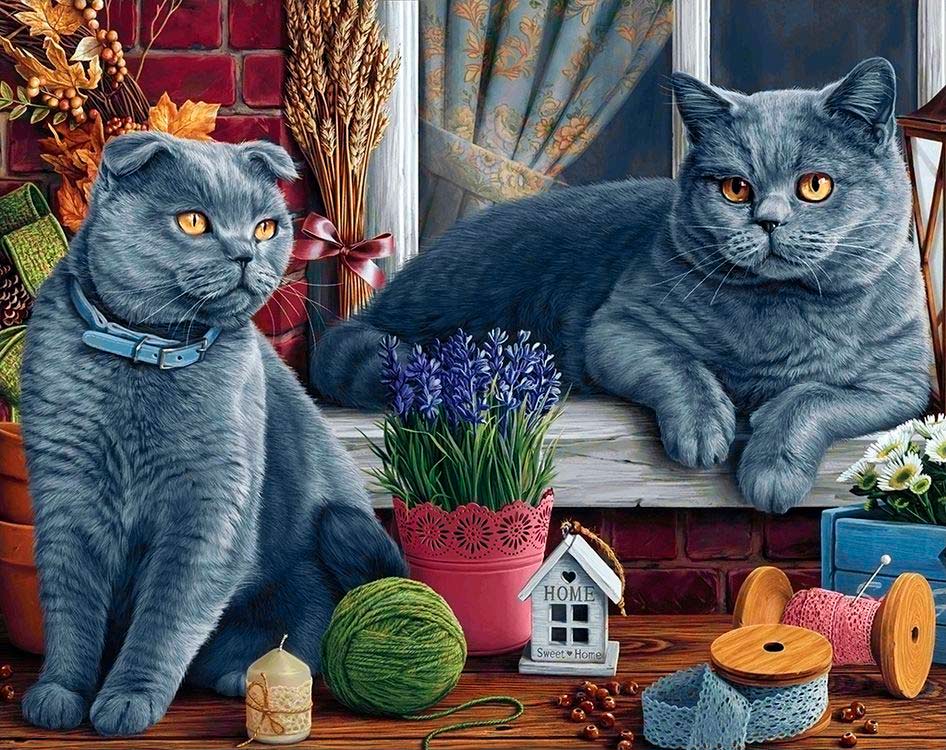 

Алмазная вышивка Гранни «Британские котики», Британские котики