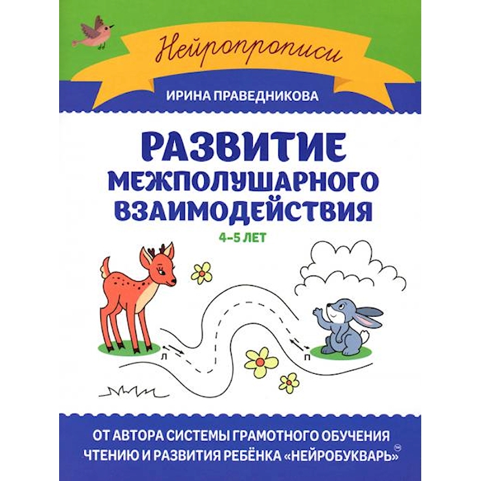 Развитие межполушарного взаимодействия: 4-5 лет 100059631784