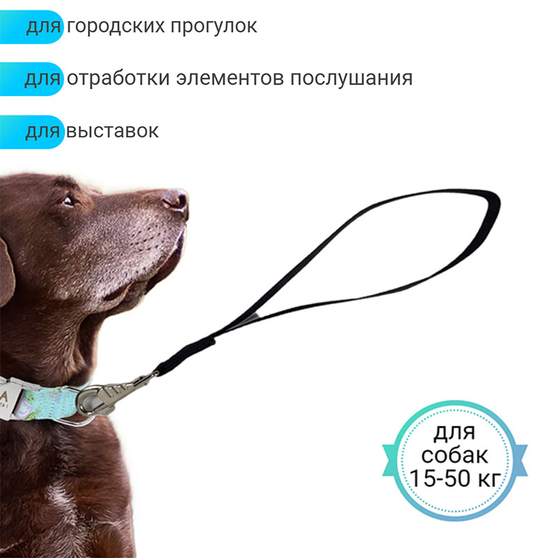 

Водилка для собак Хвостатыч, черный, нейлон, 40 см