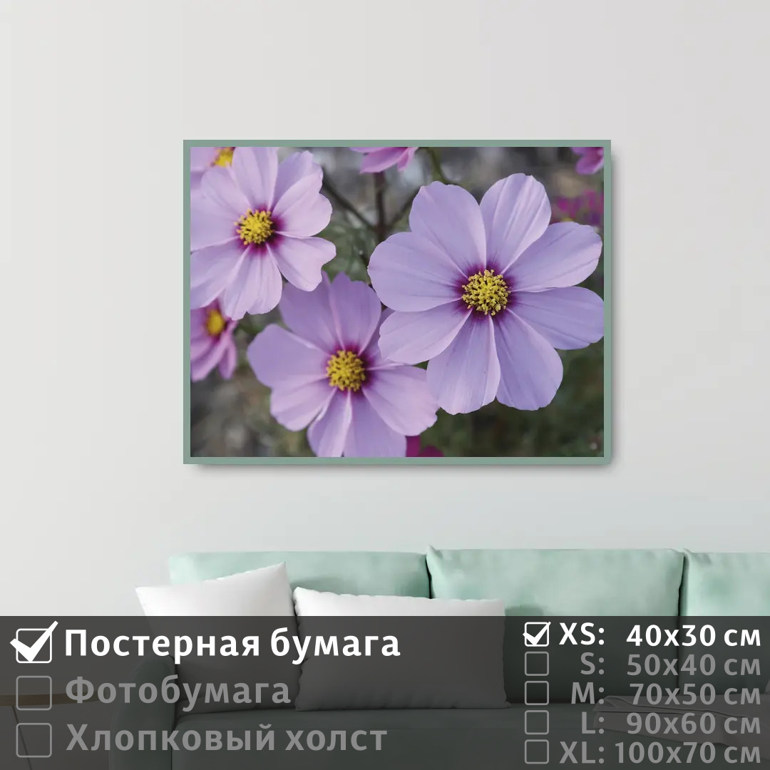 

Постер на стену ПолиЦентр Летние сиреневые цветы 40х30 см, ЛетниеСиреневыеЦветы