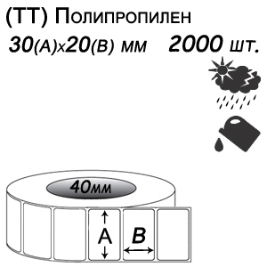 Этикет-лента 30х20 полипропилен (2000 этикеток в ролике), втулка 40 мм