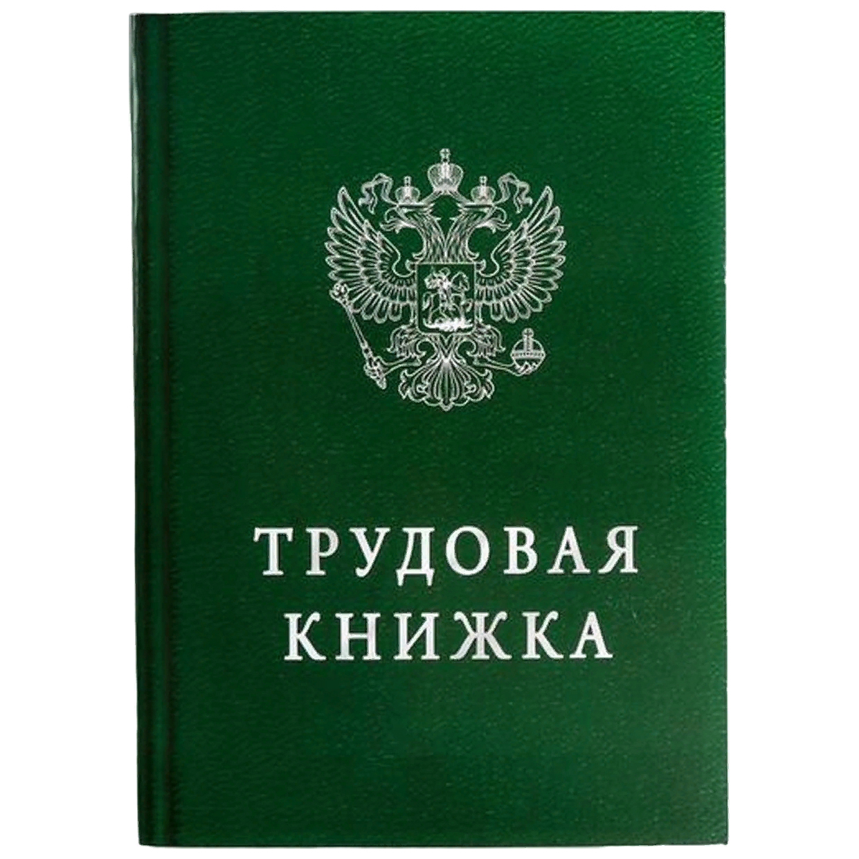 

Ежедневник ArtFox Трудовая книжка А5, 80 листов, СССР (канцелярия)