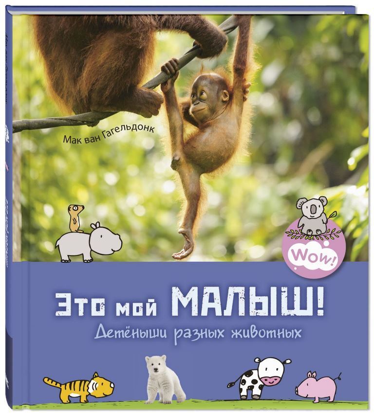 

Это мой малыш! Детёныши разных животных