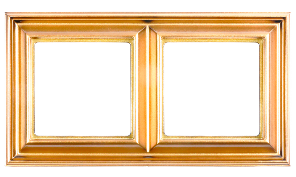 

Рамка JUNG EcoProfi DECO Золото Рамка 2-ая