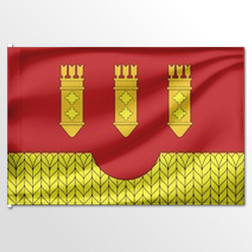 

Флаг ЦТП ФЕНИКС Иваньково-Ленинского сельского поселения 135x90 см, 7403-135x90
