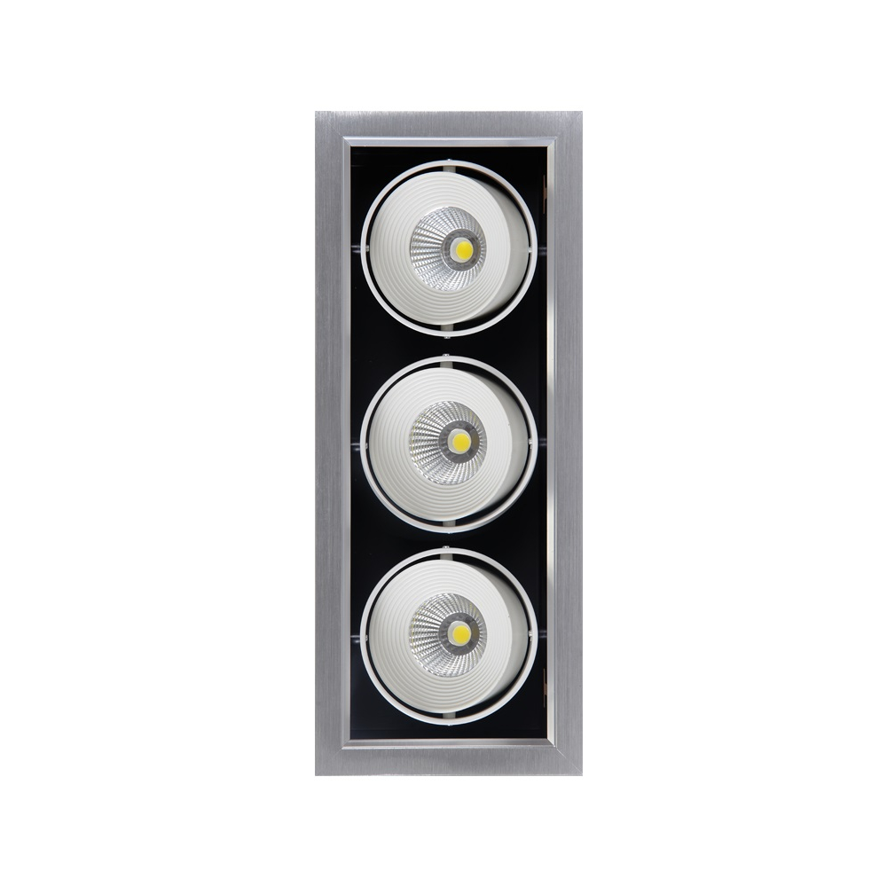 

Jazzway Светильник PSP-S 113 3x9W 4000K 24гр. GREY Карданный IP40 2853042