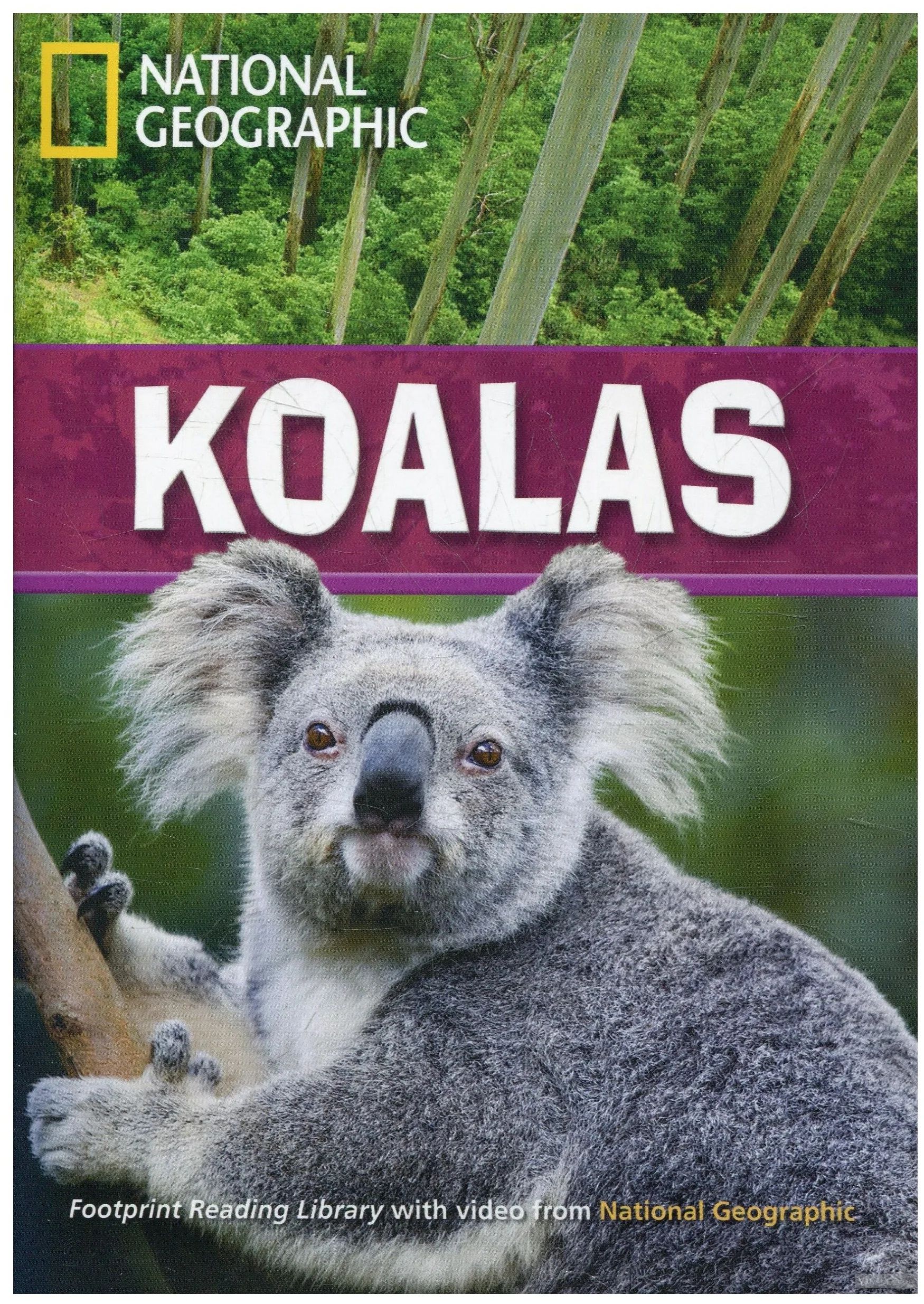 

Fotoprint Reading Library C1 Koalas