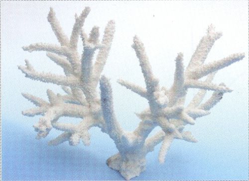 Коралл для аквариума Vitality белый 26х15х18 см