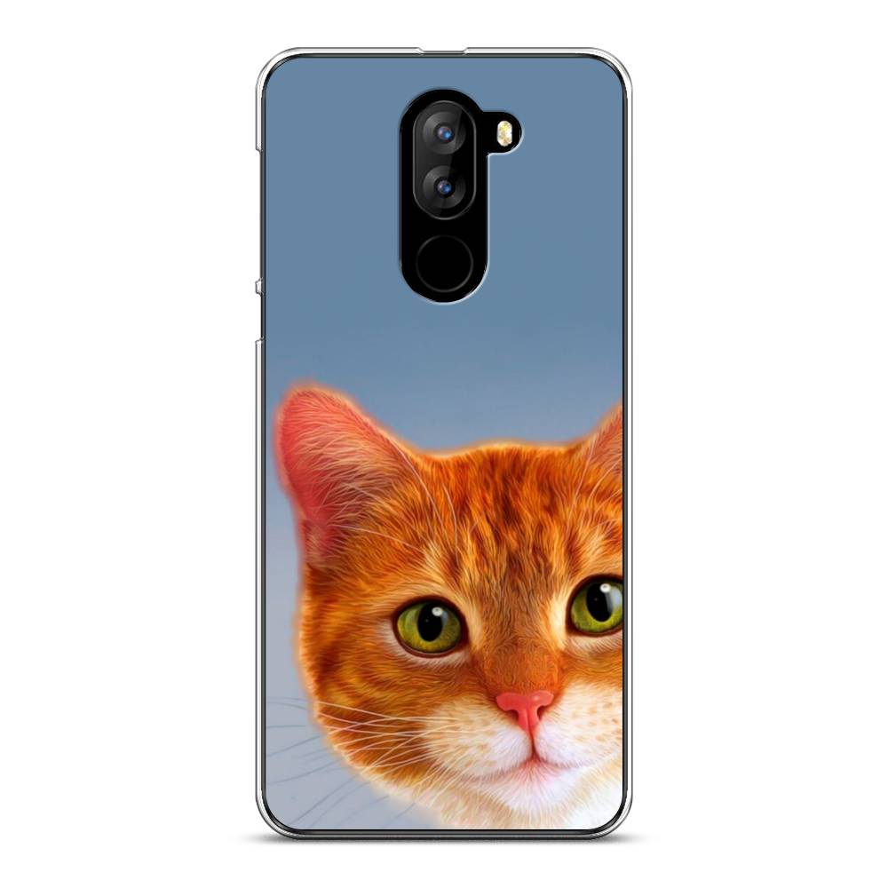 

Чехол на Doogee X60L "Любопытный котик", Коричневый, 220550-1