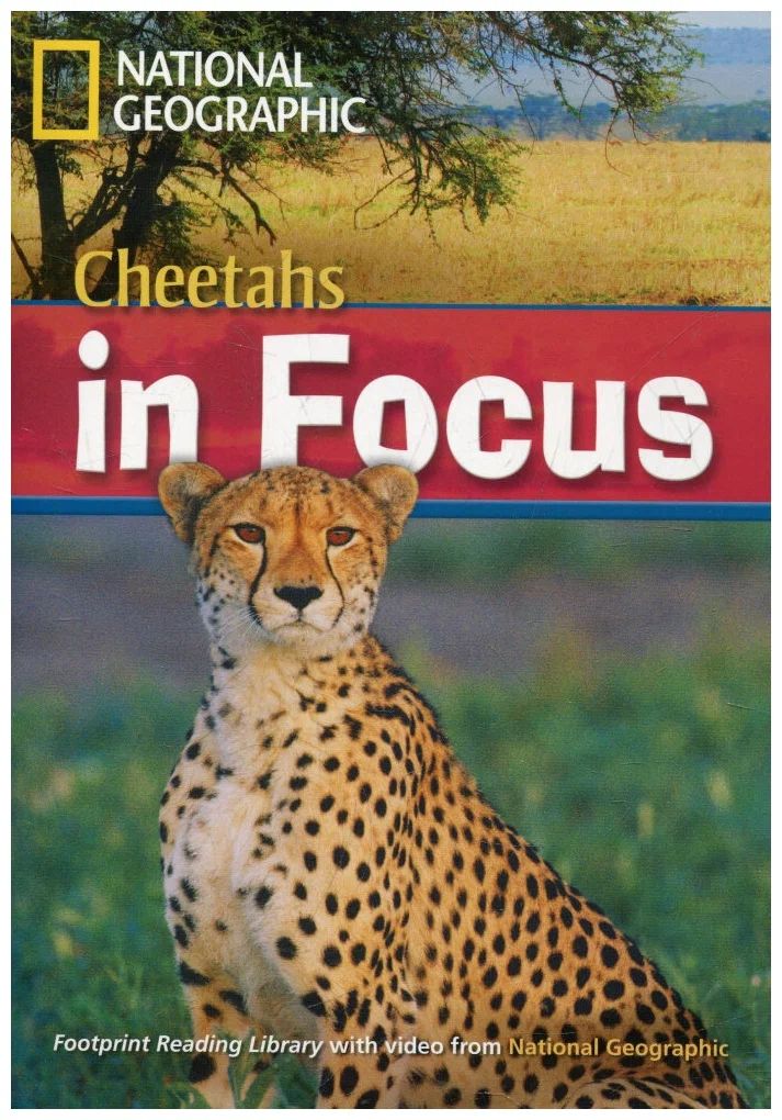 

Fotoprint Reading Library B2 Cheetah Chase!