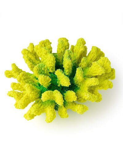 Коралл для аквариума Grotaqua Брокколи 14x13x7 см желто-зеленый