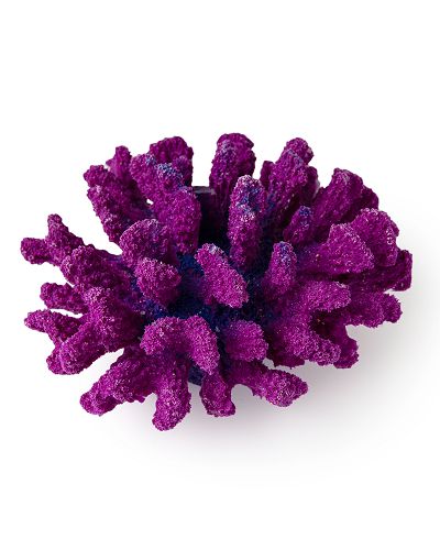 Коралл для аквариума Grotaqua Брокколи 14x13x7 см фиолетовый
