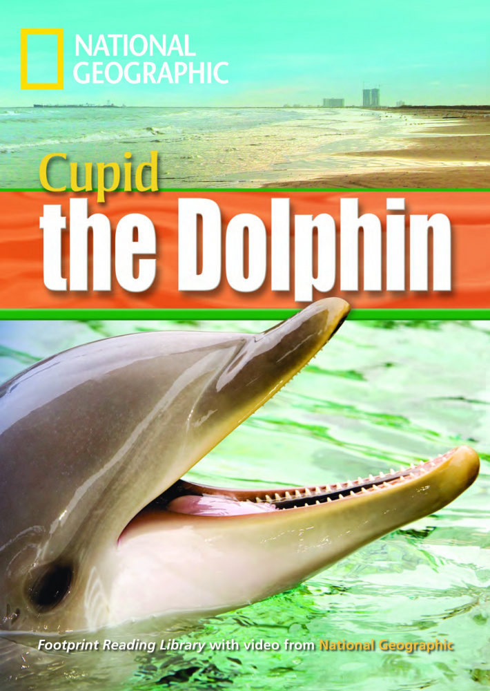 

Книга Fotoprint Reading Library B1 A Dolphin Named Cupid