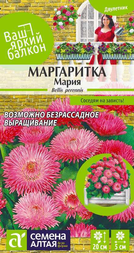 

Семена маргаритка Семена Алтая Мария 14099 1 уп.