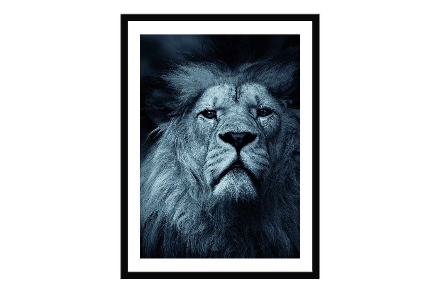 Постер в раме Hoff Грациозный лев