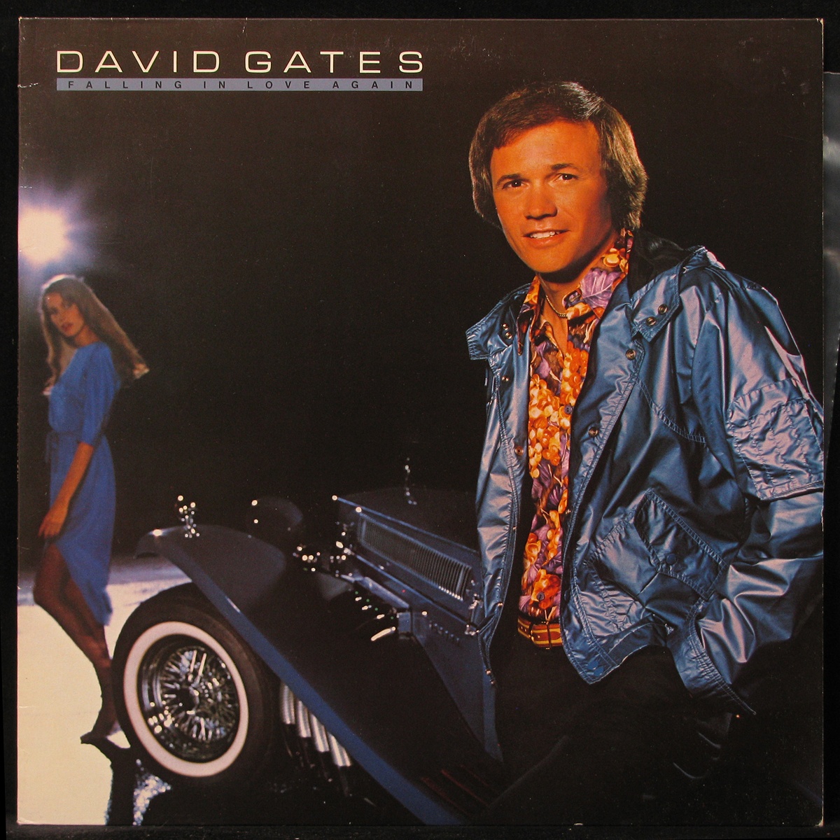 

LP David Gates - Falling In Love Again Elektra (298247)