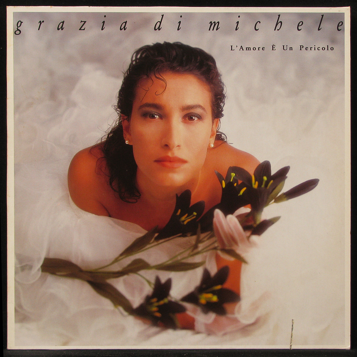 

LP Grazia Di Michele - L'Amore E Un Pericolo WEA (297964)