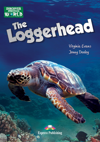 

The Loggerhead (with crossplatform application)