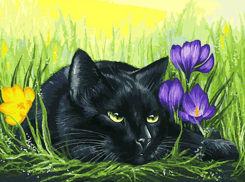 

Картина по номерам Белоснежка Кот и крокусы, 30x40, Кот и крокусы