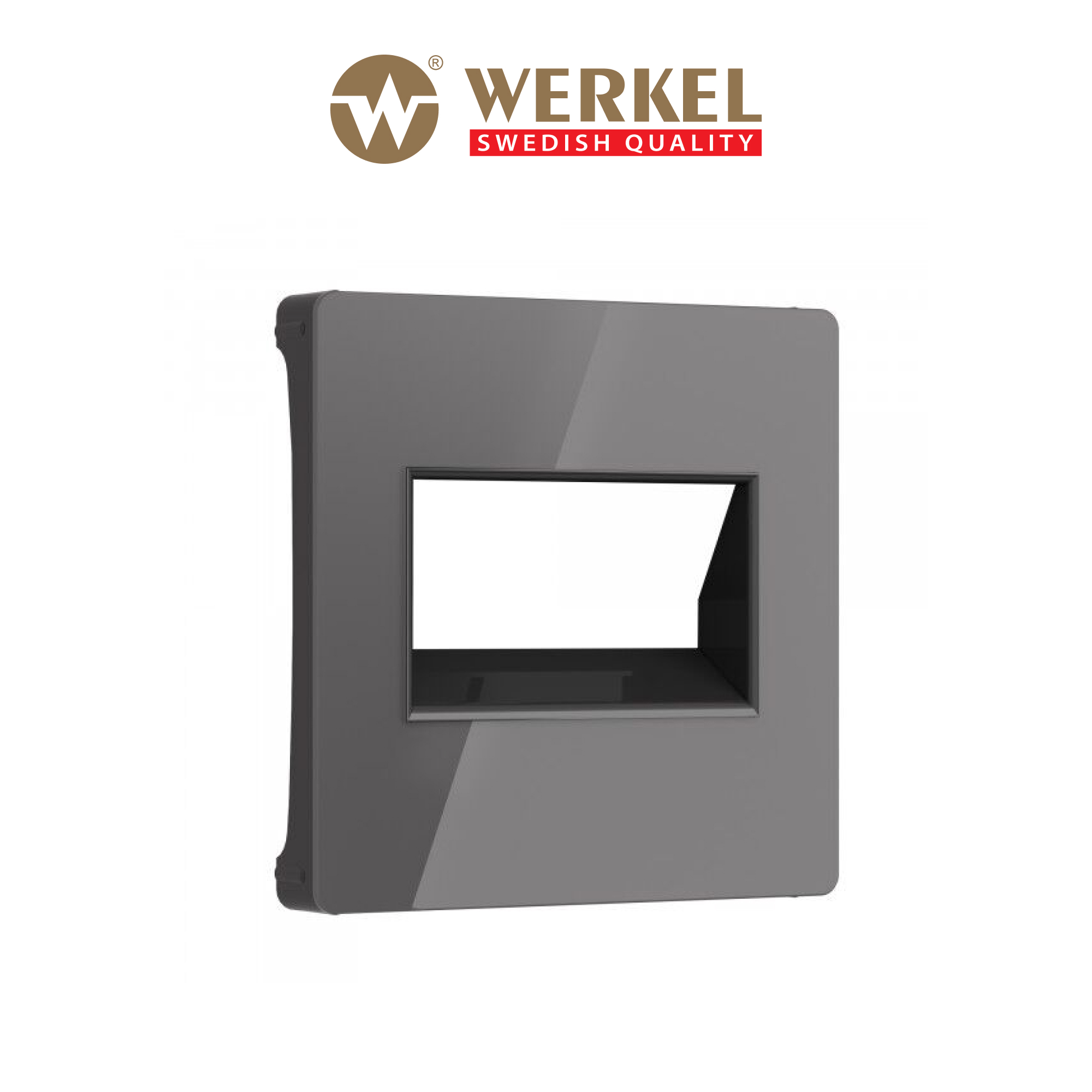 Накладка для двойной розетки Еthernet RJ-45 Werkel W1191144 графит акрил 540₽