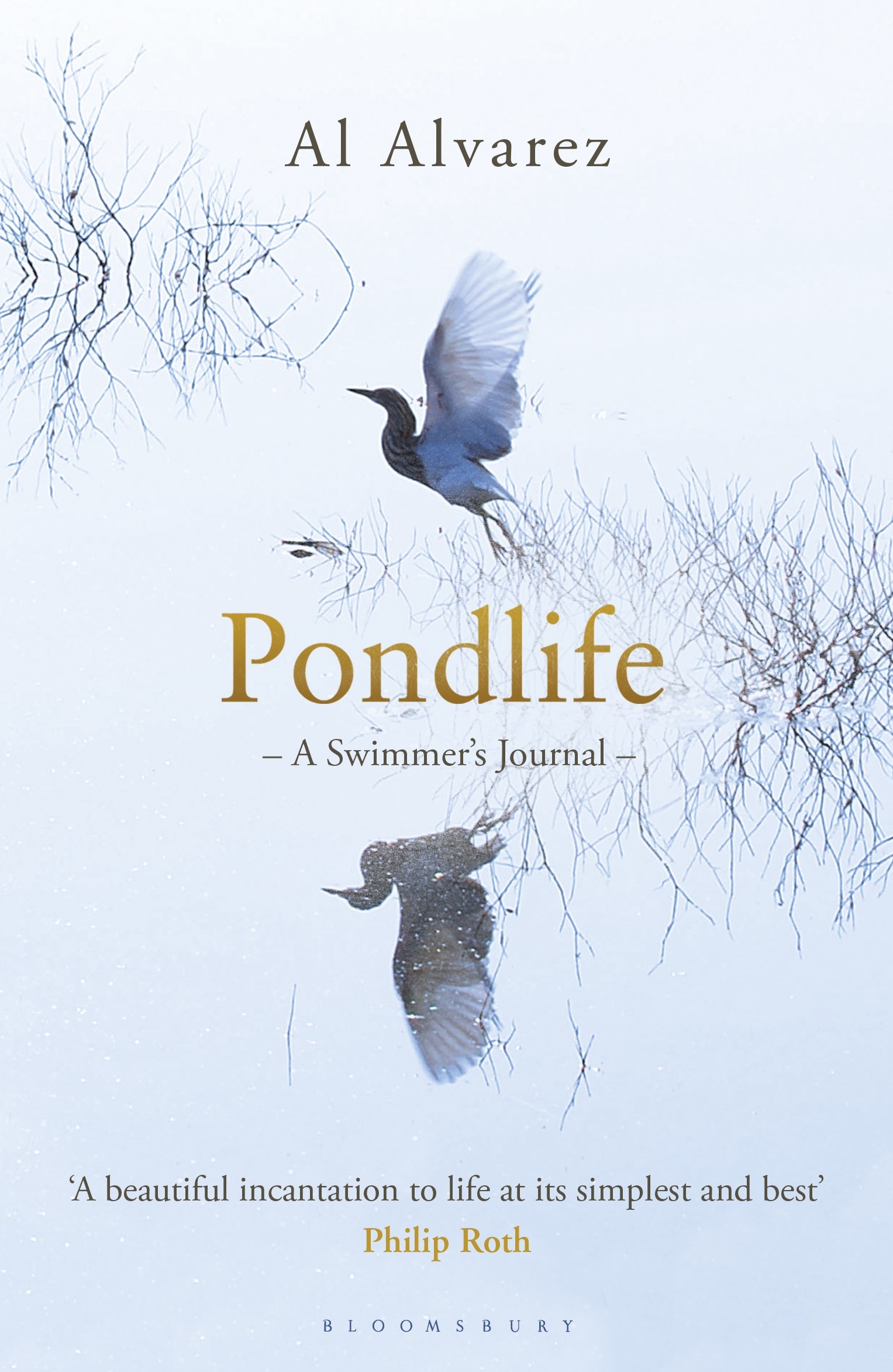 

Pondlife A Swimmer's Journal