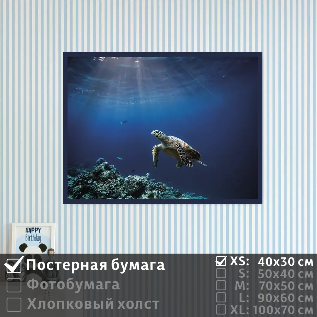 

Постер на стену ПолиЦентр Черепаха на глубине в океане 40х30 см, ЧерепахаНаГлубинеВОкеане