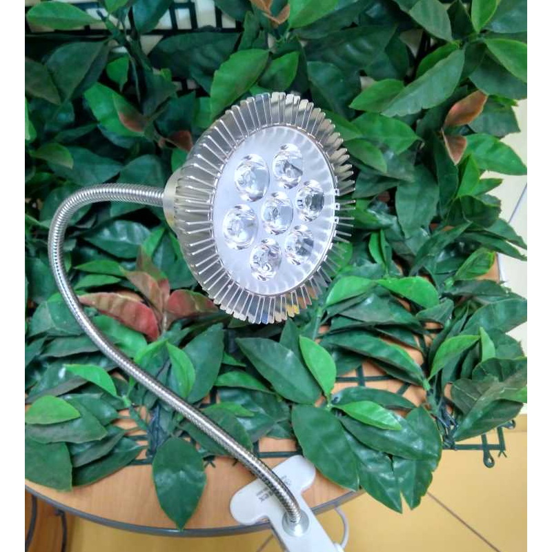 Фитосветильник Фотосинтез-7 (4 красных, 3 синих) E27