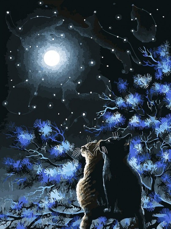 

Картина по номерам Белоснежка Созвездия, 30x40, Созвездия