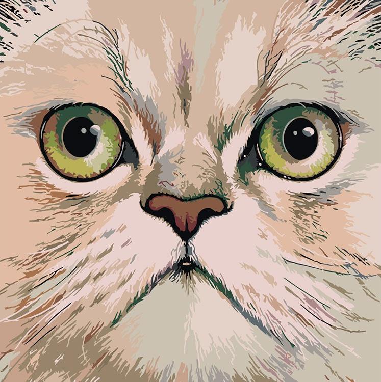 

Картина по номерам Живопись по Номерам Британская короткошерстная, 40x40, Британская короткошерстная