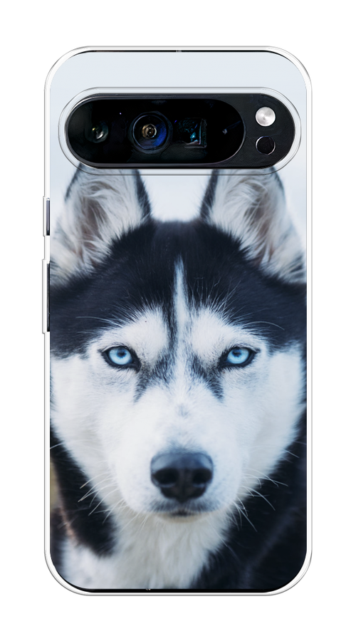 

Чехол на Google Pixel 9 Pro XL "Хаски 2", Синий;белый, 272150-1