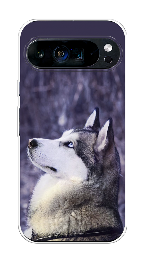 

Чехол на Google Pixel 9 Pro XL "Хаски 1", Фиолетовый;белый, 272150-1