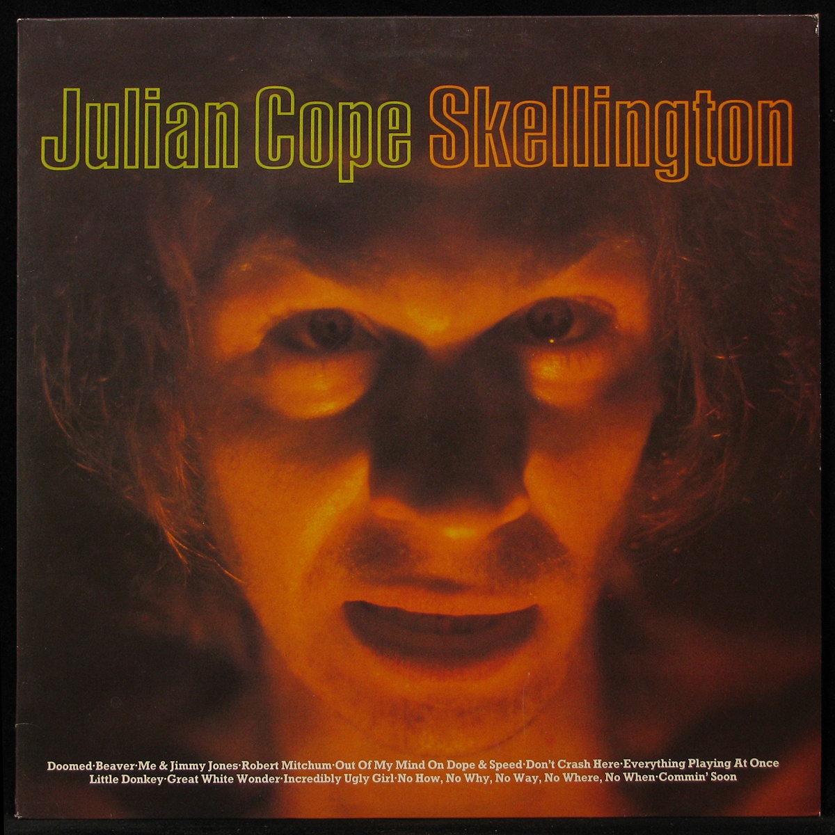 LP Julian Cope - Skellington Chronicles Ma-Gog (293217)