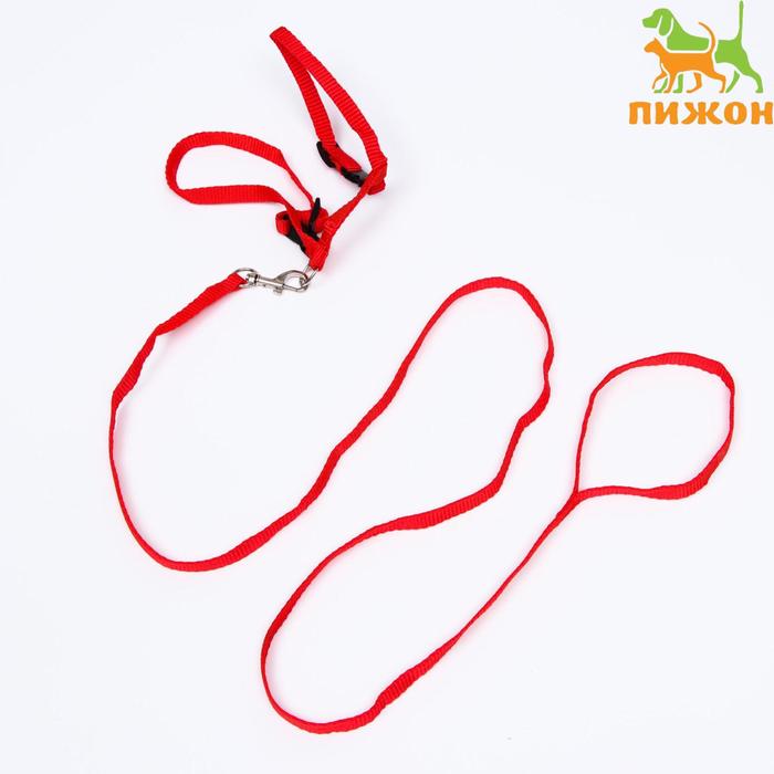 

Комплект для кошек, ширина 1 см, ОШ 16,5-27 см, ОГ 21-35 см, поводок 120 см, красный