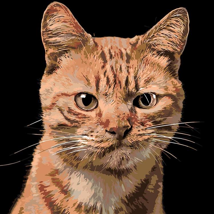 

Картина по номерам Живопись по Номерам Рыжик, 40x40, Рыжик